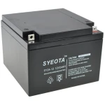 Forseglet blybatteri 12V 24Ah SY24-12 genopladeligt